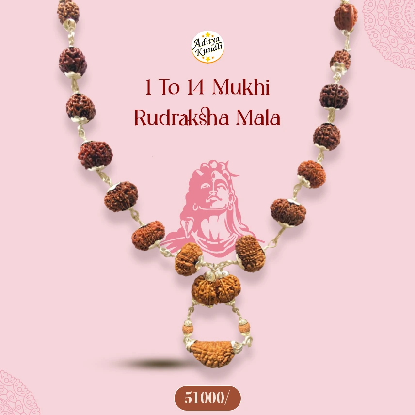 rudraksh maala, pure rudraksha mala, 1 se 14 mukhi rudraksha mala, 14 mukhi rudraksh mala