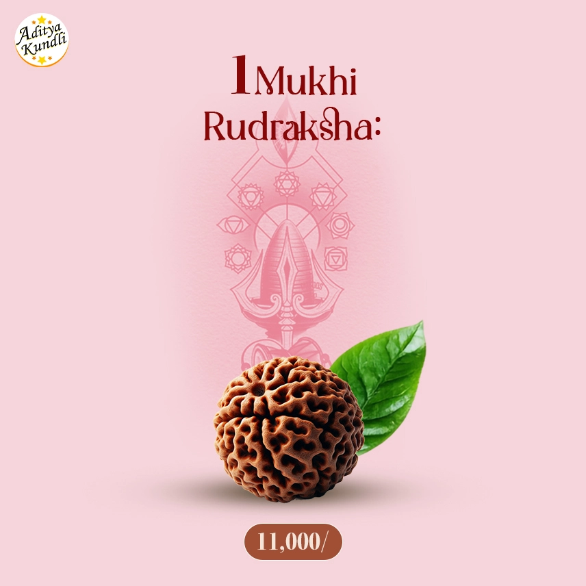 1 MUKHI RUDRAKSH, PURE RUDRAKSH